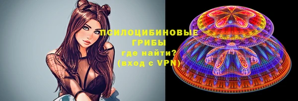 дживик Вязники