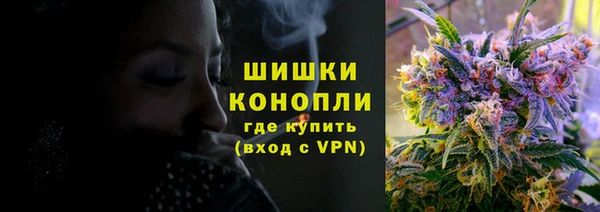 ПСИЛОЦИБИНОВЫЕ ГРИБЫ Вяземский