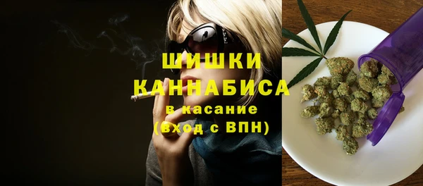 ПСИЛОЦИБИНОВЫЕ ГРИБЫ Вяземский