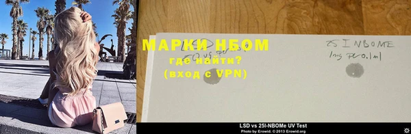ПСИЛОЦИБИНОВЫЕ ГРИБЫ Вяземский