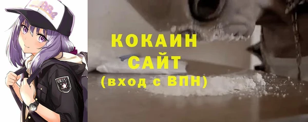 ПСИЛОЦИБИНОВЫЕ ГРИБЫ Вяземский