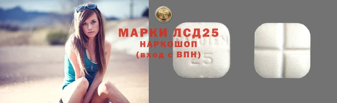ПСИЛОЦИБИНОВЫЕ ГРИБЫ Вяземский