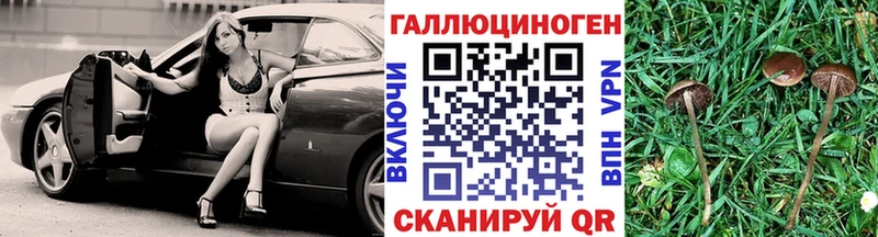 где найти наркотики Малая Вишера Галлюциногенные грибы ЛСД
